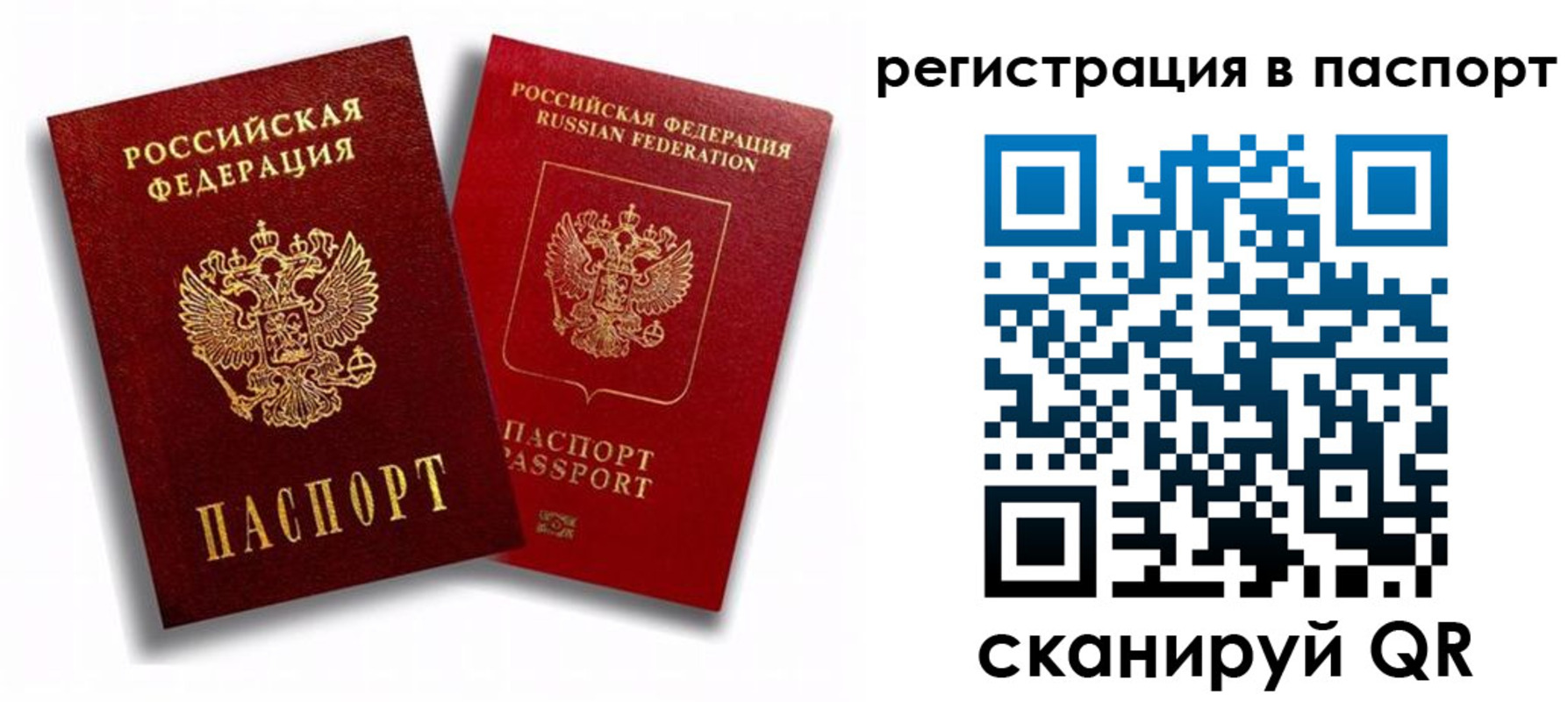 прописка 2025 в Черноголовке